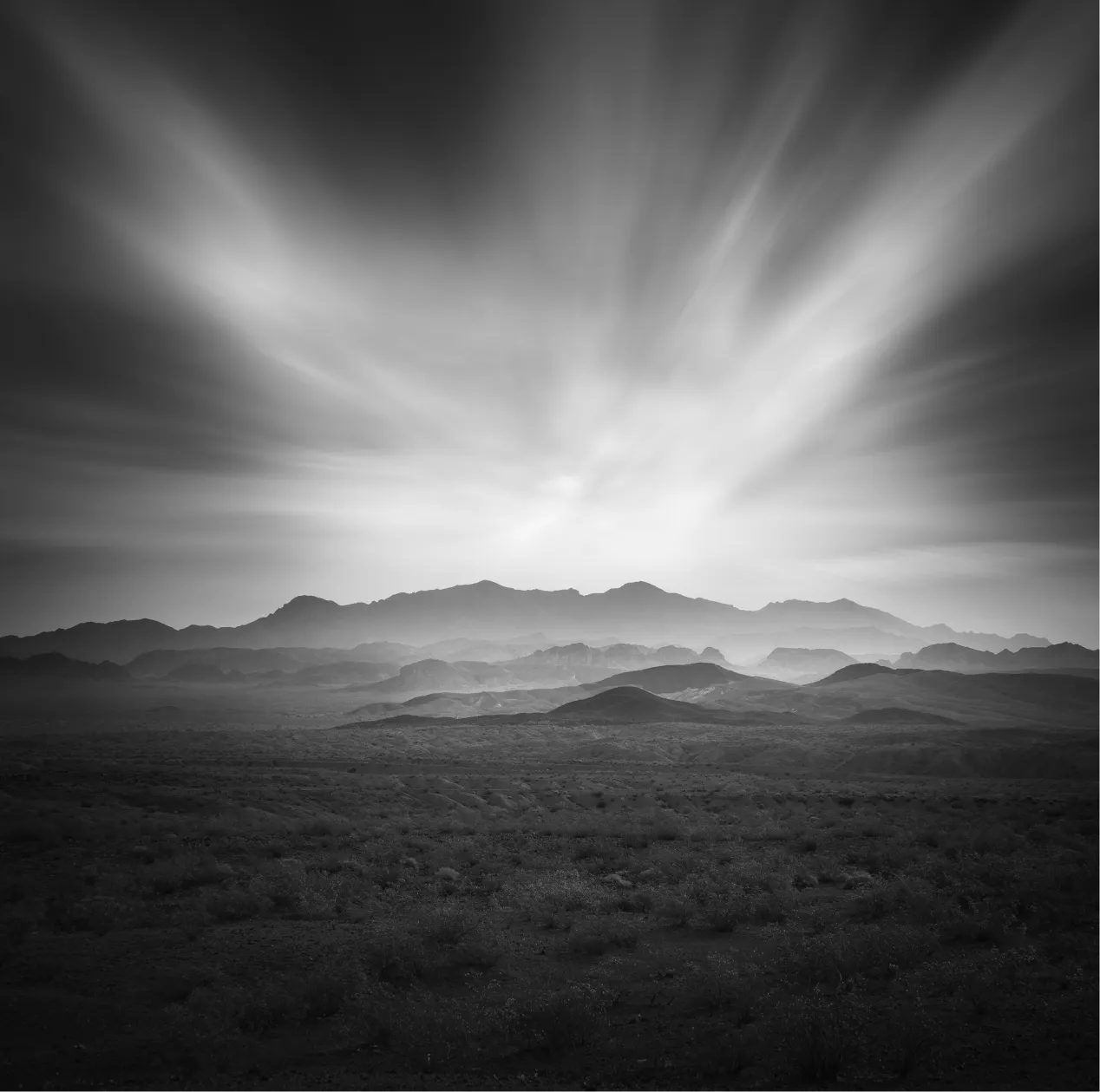 Desert landscape with silhouetted Joshua trees under a cloudy sky and distant mountain range.