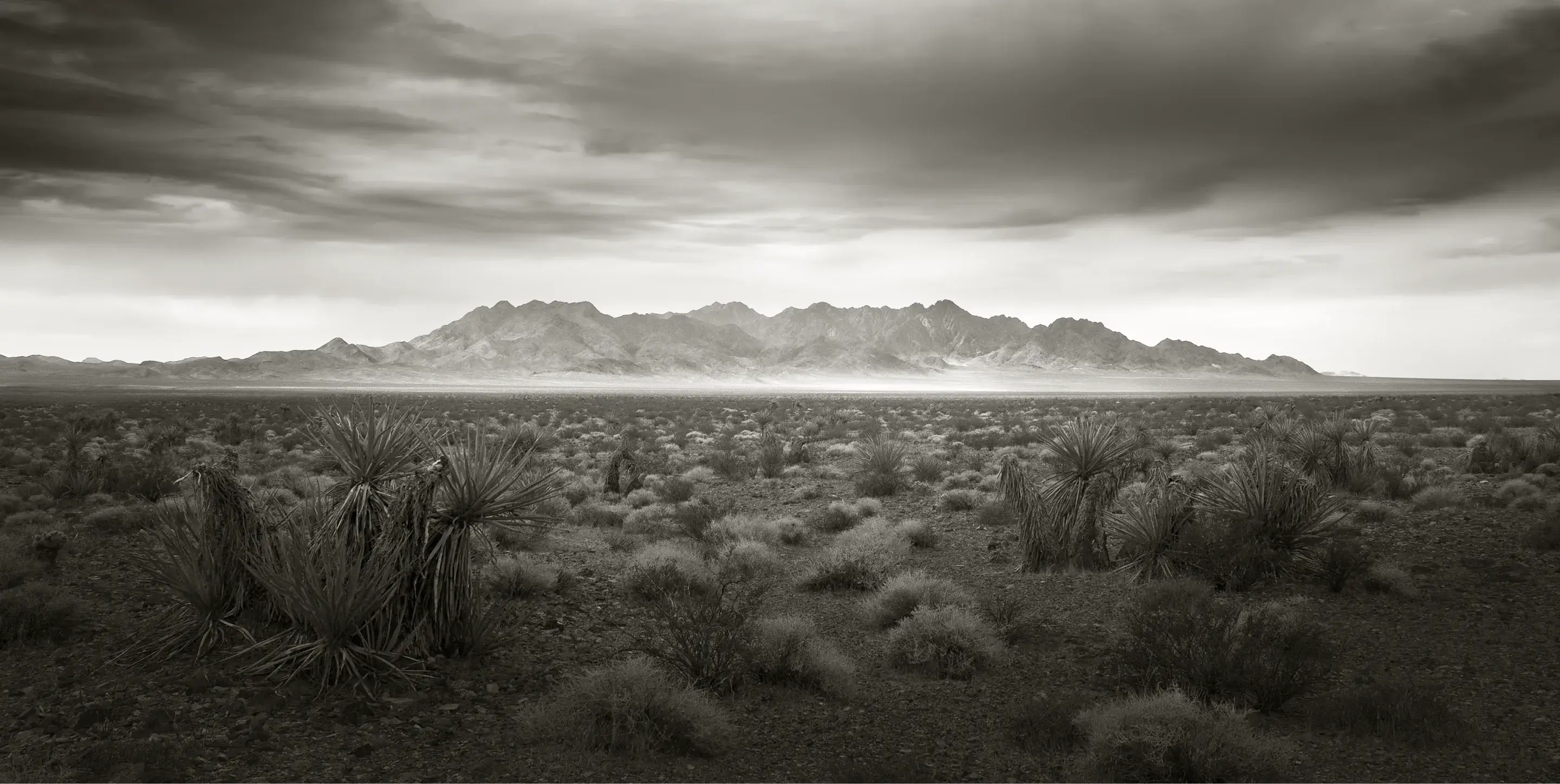 Flat desert landscape with scattered shrubs and distant mountain range under a cloudy sky.